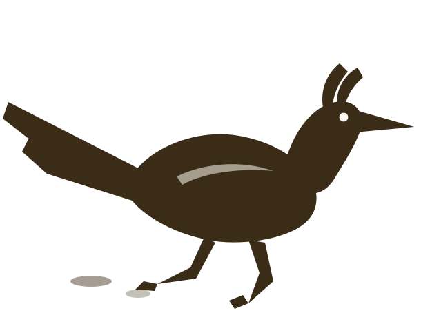New Mexico roadrunner